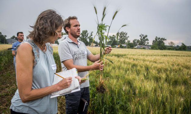 „Élő laboratórium” a jövő magyar agráriumáért