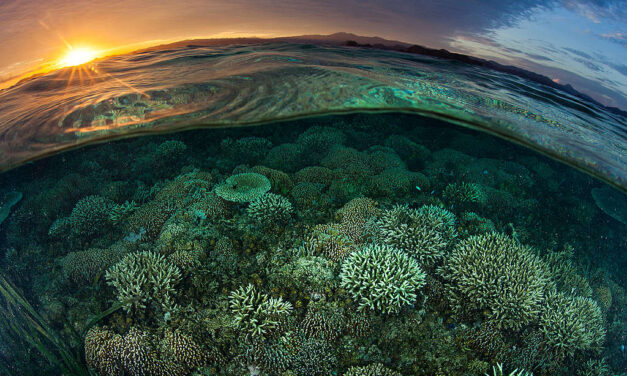 ENSZ-csúcstalálkozó a világ megmentéséért