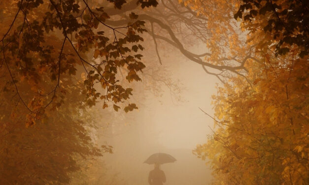 Guillaume Apollinaire: Búcsú