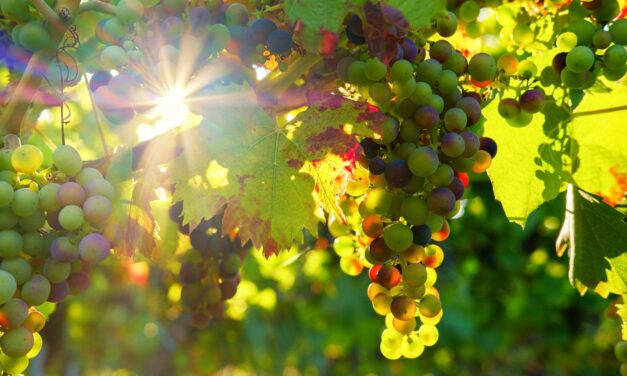 OKTÓBER 28. Simon-Júdás napja