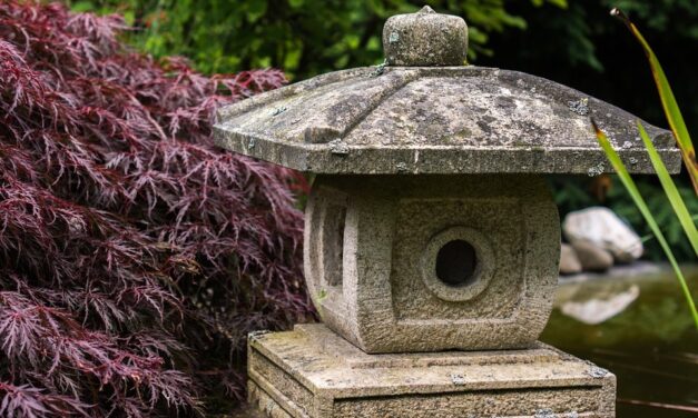 Japánkert épül a gyulai könyvtár udvarán