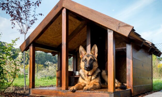 Hogyan kell a kutyaházat téliesíteni?