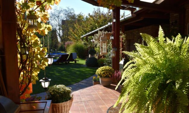 Ebben a kisvárdai kertben csodás az évszakok körforgása