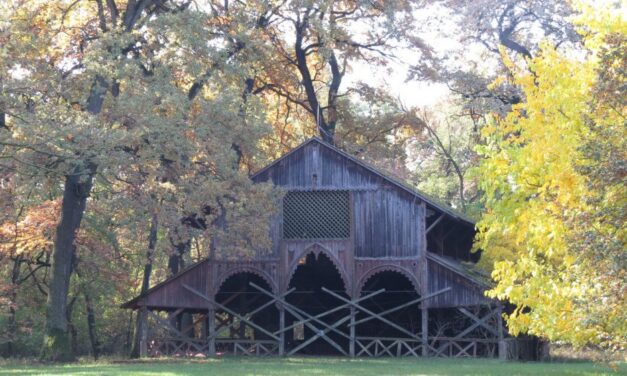 Kirándulás a nagykőrösi Pálfája-erdőben