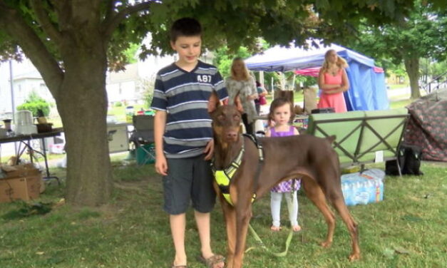 Egy amerikai gyermek minden játékát pénzzé tette kutyája gyógyulásának érdekében